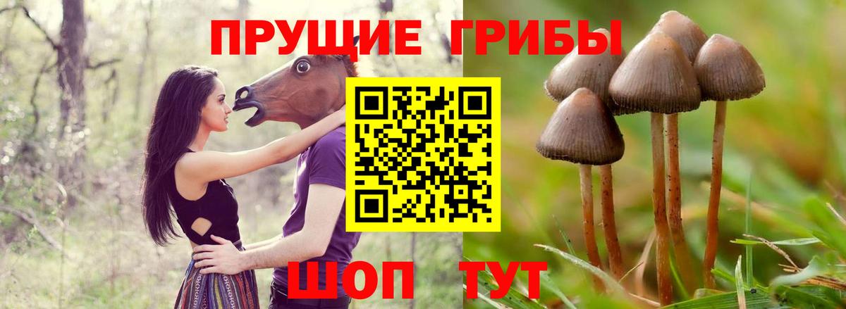Псилоцибиновые грибы MAGIC MUSHROOMS Трёхгорный
