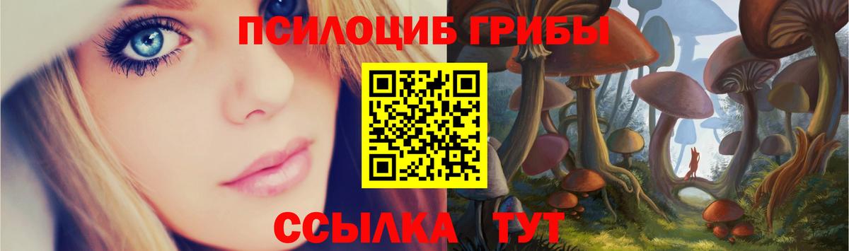 купить наркотик  Вход с VPN  Галлюциногенные грибы Psilocybine cubensis  Трёхгорный  Псилоцибиновые грибы Cubensis 