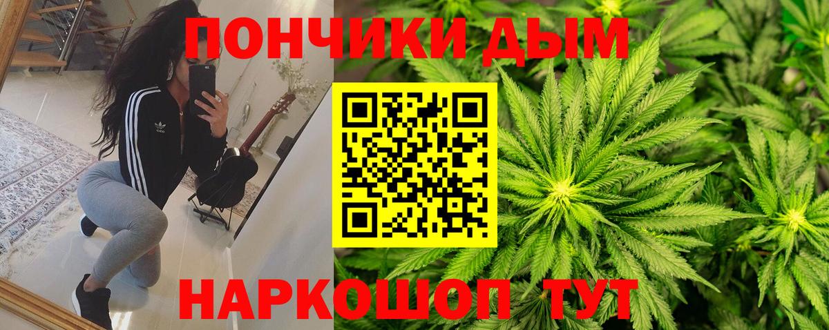 Конопля гибрид Трёхгорный